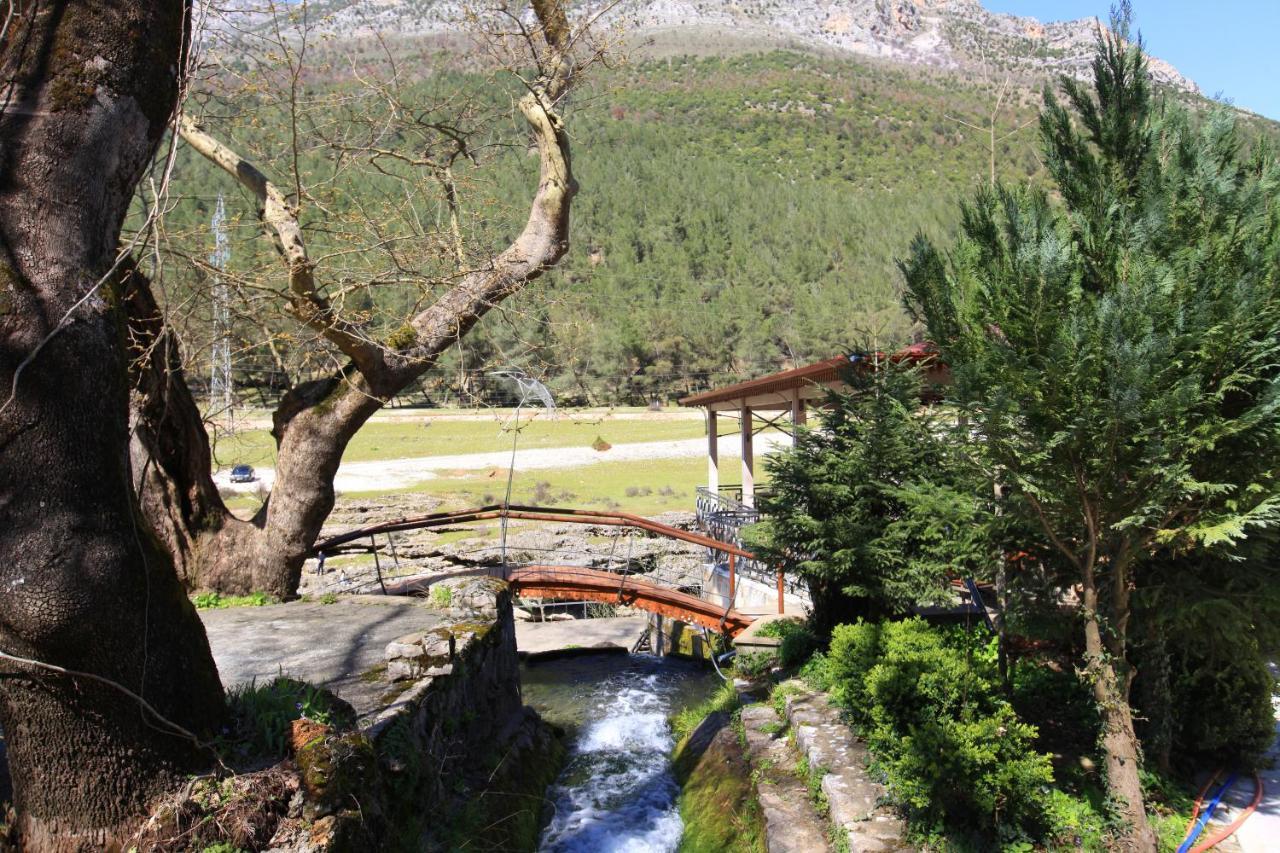 Hotel Gryka E Kelcyres Εξωτερικό φωτογραφία